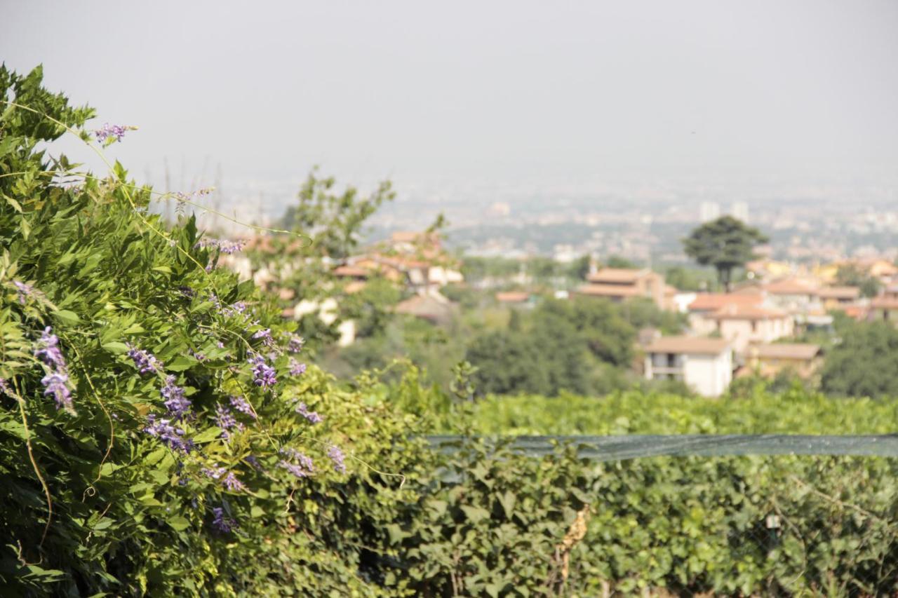 Appartamento In Villa Santa Caterina Frascati Kültér fotó